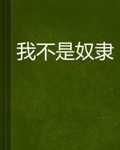我不是游戏奴,我不是游戏奴的心路历程”