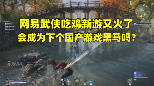 游戏吃鸡网易,探索网易吃鸡游戏世界