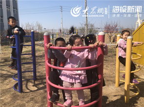 攀爬户外游戏教案,培养幼儿勇敢与协调的乐园