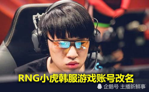 小虎游戏 
