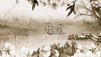 夏至小说 